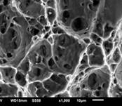 QQ截图20170611162119